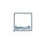 bmsoft - information technologies